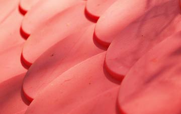 Shebster plastic roof costs